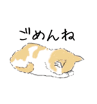 ペンねこ（個別スタンプ：6）