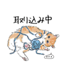 ペンねこ（個別スタンプ：8）