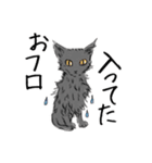 ペンねこ（個別スタンプ：10）