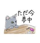 ペンねこ（個別スタンプ：11）