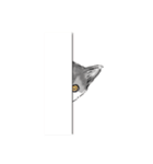 ペンねこ（個別スタンプ：14）