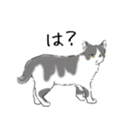ペンねこ（個別スタンプ：16）