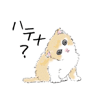 ペンねこ（個別スタンプ：17）