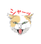 ペンねこ（個別スタンプ：20）