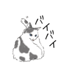 ペンねこ（個別スタンプ：21）