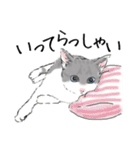 ペンねこ（個別スタンプ：22）