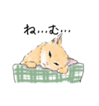 ペンねこ（個別スタンプ：24）