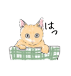 ペンねこ（個別スタンプ：25）