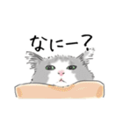 ペンねこ（個別スタンプ：26）
