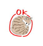 ペンねこ（個別スタンプ：27）
