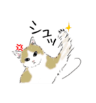 ペンねこ（個別スタンプ：30）