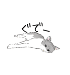 ペンねこ（個別スタンプ：31）
