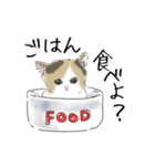 ペンねこ（個別スタンプ：33）