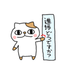 理系ねこ（個別スタンプ：4）