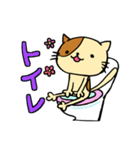 お手軽ねこスタンプ（個別スタンプ：37）