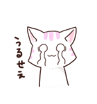 しまねこPINK（個別スタンプ：3）