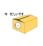 白いねこ 1（個別スタンプ：13）