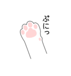 白いねこ 1（個別スタンプ：39）