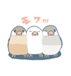 文鳥づくし（個別スタンプ：30）