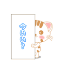 三毛ねこの日常 (にゃんこの会話文字入り)（個別スタンプ：29）