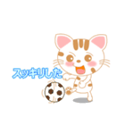 三毛ねこの日常 (にゃんこの会話文字入り)（個別スタンプ：34）