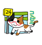 日常で使える「めがねこ」（個別スタンプ：8）