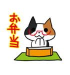 日常で使える「めがねこ」（個別スタンプ：9）