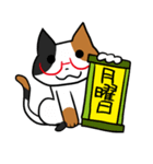 日常で使える「めがねこ」（個別スタンプ：28）