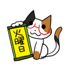 日常で使える「めがねこ」（個別スタンプ：29）