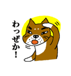 薩摩犬（鹿児島弁）（個別スタンプ：8）