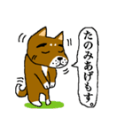 薩摩犬（鹿児島弁）（個別スタンプ：11）