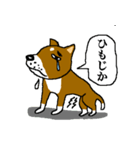 薩摩犬（鹿児島弁）（個別スタンプ：23）