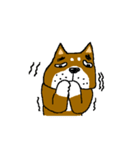 薩摩犬（鹿児島弁）（個別スタンプ：35）
