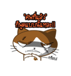 Nungning the Mungming Cat（個別スタンプ：1）