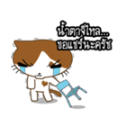 Nungning the Mungming Cat（個別スタンプ：5）