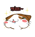 Nungning the Mungming Cat（個別スタンプ：6）