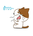 Nungning the Mungming Cat（個別スタンプ：15）