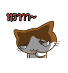 Nungning the Mungming Cat（個別スタンプ：17）