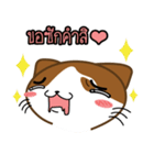 Nungning the Mungming Cat（個別スタンプ：19）