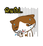 Nungning the Mungming Cat（個別スタンプ：23）