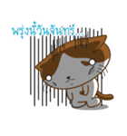 Nungning the Mungming Cat（個別スタンプ：25）
