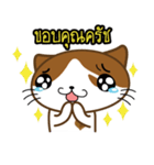 Nungning the Mungming Cat（個別スタンプ：29）