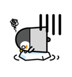 Penguin Cafe（個別スタンプ：12）