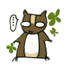 もんしろくろ（個別スタンプ：11）