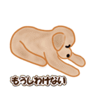 ふくちゃんの楽しいお友達（個別スタンプ：24）