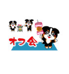 三毛犬バニちゃん（個別スタンプ：37）