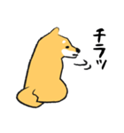 柴犬のマーキング（個別スタンプ：6）