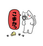 ねこで佐賀弁 1（個別スタンプ：15）