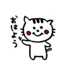 元気猫、豆子の日常。（個別スタンプ：1）