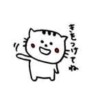 元気猫、豆子の日常。（個別スタンプ：27）
